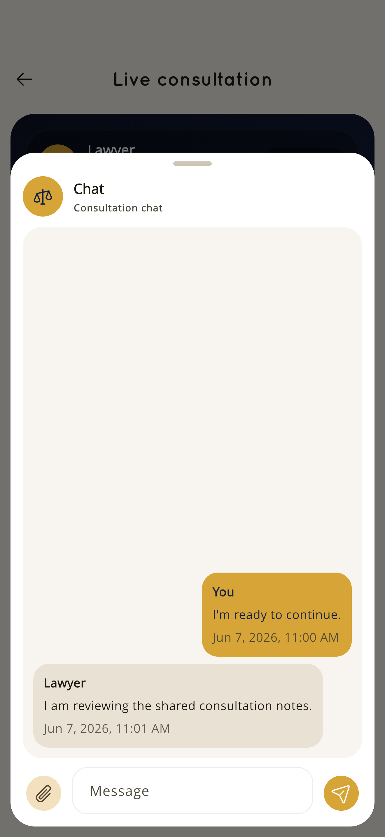KnownAfrique customer app consultation chat bottom sheet on iPhone